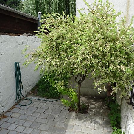 Mur 4 - Apartament Z Patio Torun Ngoại thất bức ảnh